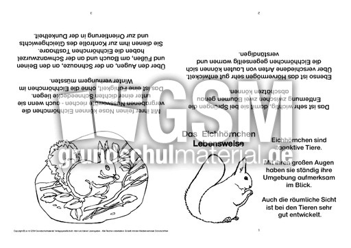 Eichhörnchen-Faltbuch-Lebensweise.pdf